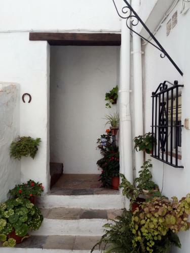 La Suite Del Alfiz