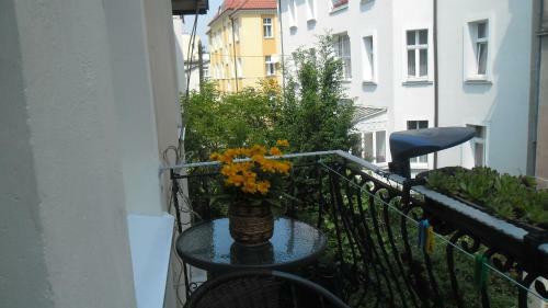 Apartament Mariana Mokwy 6b