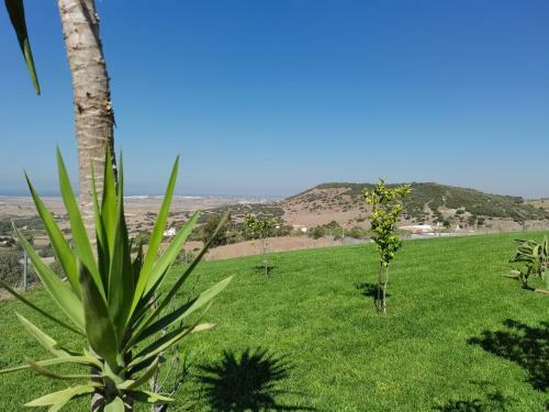 El Mirador de Marina