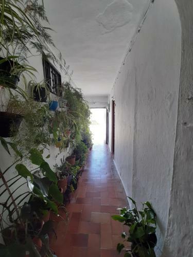 Apartamento Loft De La Morena