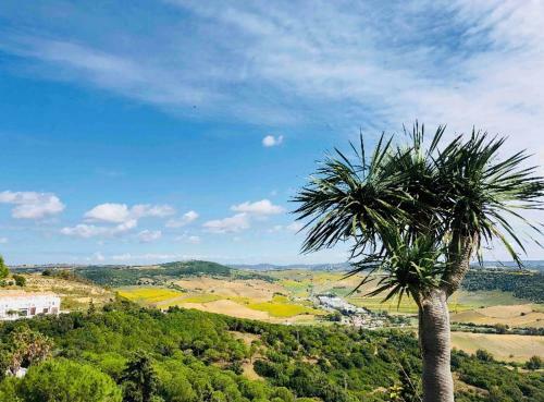 Apartamento Beautiful Studio In Vejer