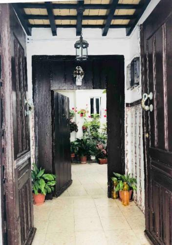 Apartamento Beautiful Studio In Vejer