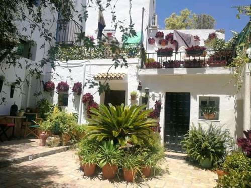 Apartamento Alojamiento Con Encanto