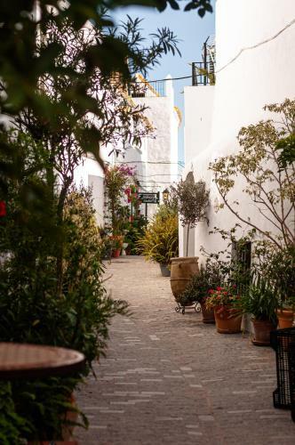 Apartamento C-alma En El Coraz�n de Vejer