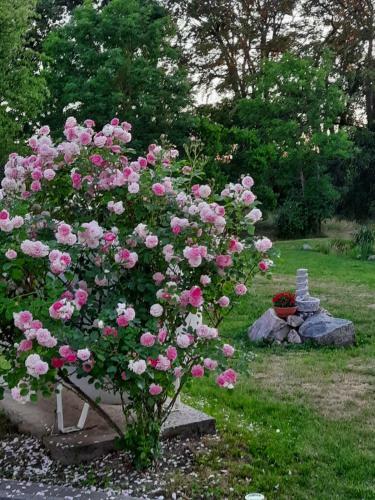 Bed & Breakfast Dworek Natury