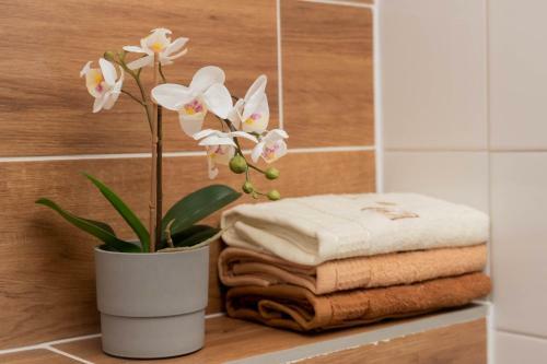 Apartamenty Gosz�wita