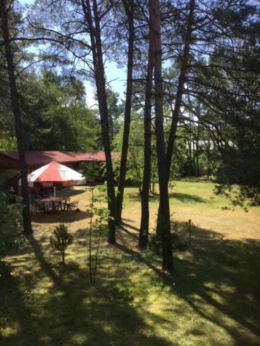 Forest Villa- Domki