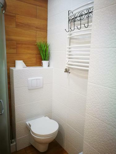 Bed & Breakfast Dom Nad Wigrami
