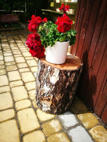 Bed & Breakfast Dom Nad Wigrami