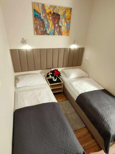 Przy Termach Domki Pokoje Apartamenty