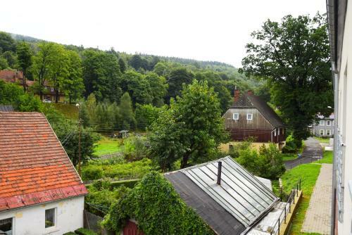 Apartament Wiktoria ?wierad�w Zdr�j
