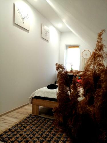 Apartament U Edka Przy Dolnej
