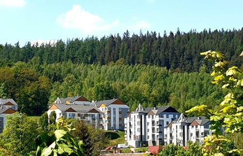 Apartament Le?nicz�wka - 5d Apartamenty