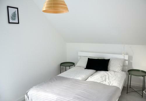 Zielone Apartamenty