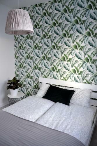 Zielone Apartamenty