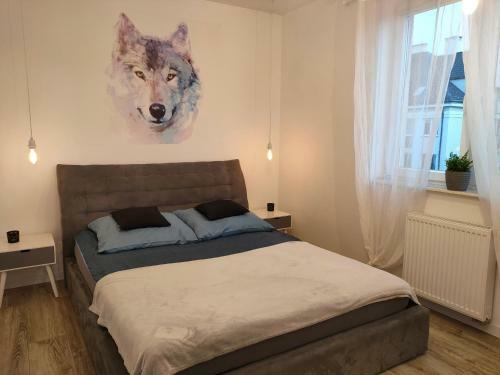 Apartament Szczytno Mazury