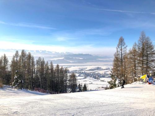 Apartamento Dziki Rogacz