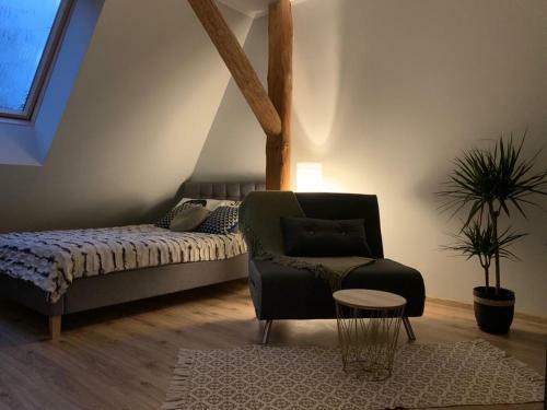 Apartamenty Pieni?skie