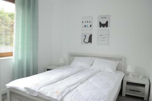 Apartamenty Homole A1