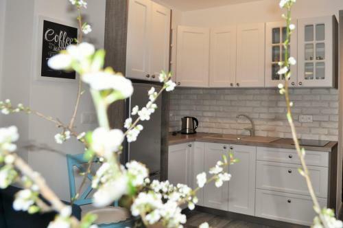 Apartamenty Homole A1