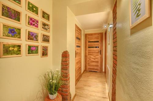 Apartamento Przystanek Le?na