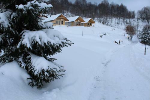 Podbucznik 3 Leskowiec