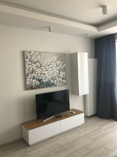 Dbd Apartament Gray Turkus Studio