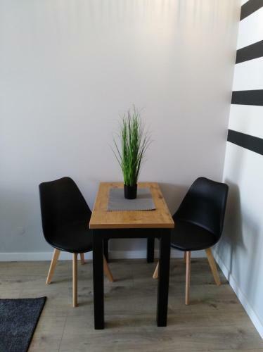Apartament W Centrum Szczecina
