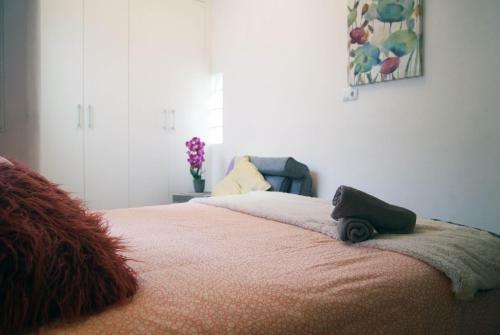 Preciosos Apartamentos En El Carmen