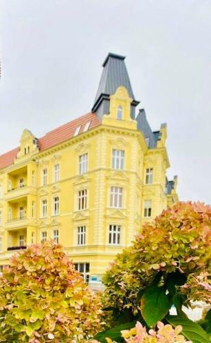 Apartamento Cozy, Small Studio.great Location / Ma?a Kawalerka