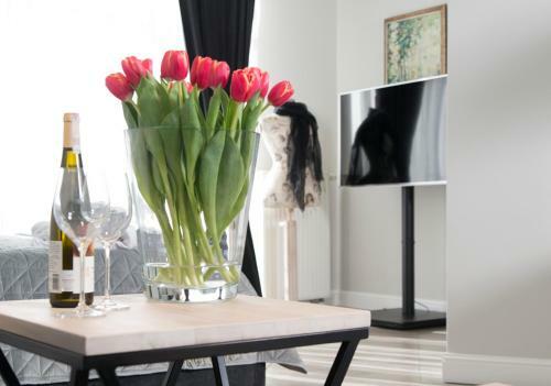 Apartamenty Laser Studio