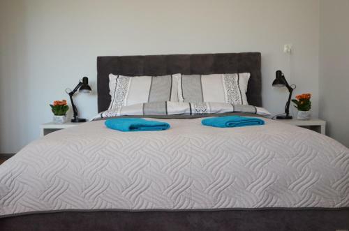 Apartament Leliwa - Centrum