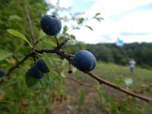 Agroturystyka Lipowewzg�rze