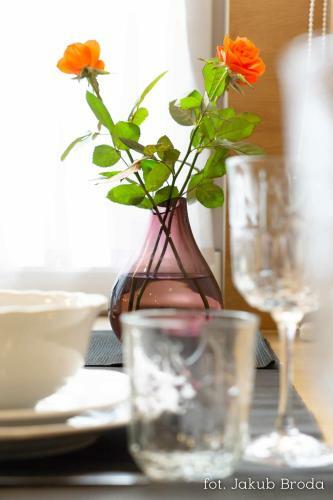 Apartamenty Toszeckie