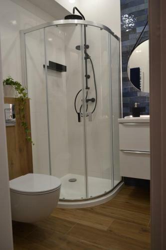 Apartamenty Toszeckie
