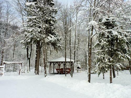 Apartament Z Liskiem