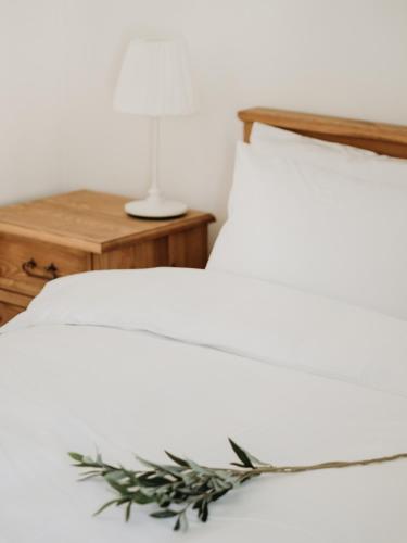 Apartament Jode?ka