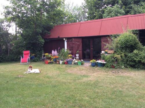 Bed & Breakfast Satnatorium