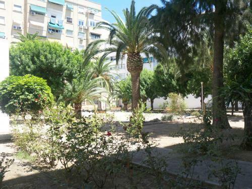 Apartamento Marieta