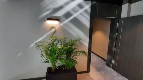 Apartpark Apartament Albus