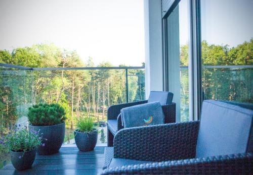 Apartamento Albus 312
