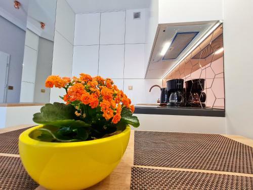 Apartamento Visit Baltic - Platan Tower Victoria