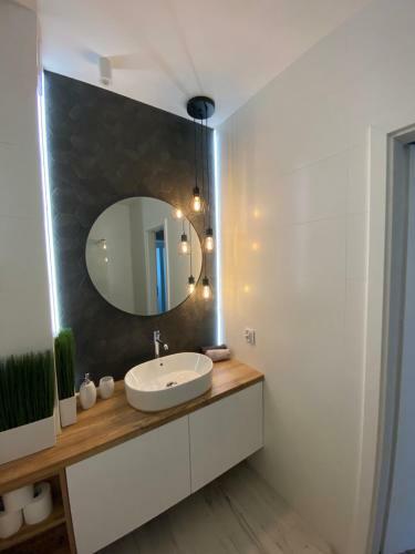 Apartament Forest