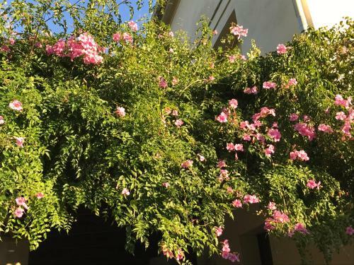 Apartamento Appartement Elsa Valencia