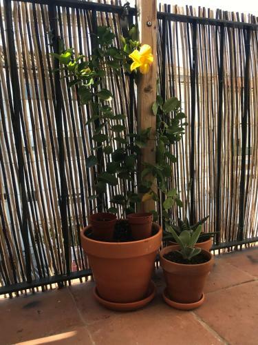Apartamento Appartement Elsa Valencia
