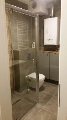 Apartamenty Amika
