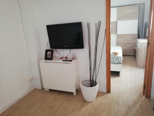 Apartamento Arts & Sciences Museum/beach Wifi