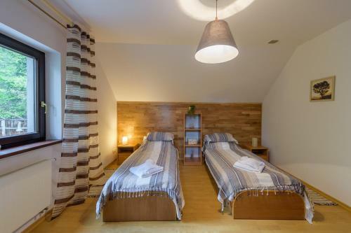 Apartament Bia?y Domek - 5d Apartamenty