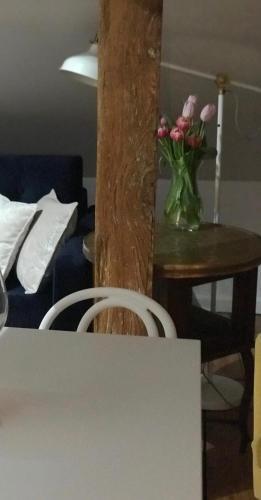 Apartamenty J?czmienna 29
