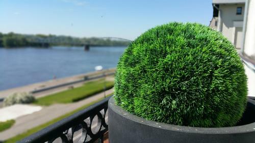 Apartamento The View Torun